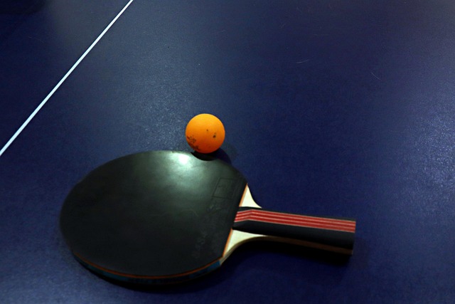 Find det perfekte bordtennisbat: En guide til begyndere og øvede